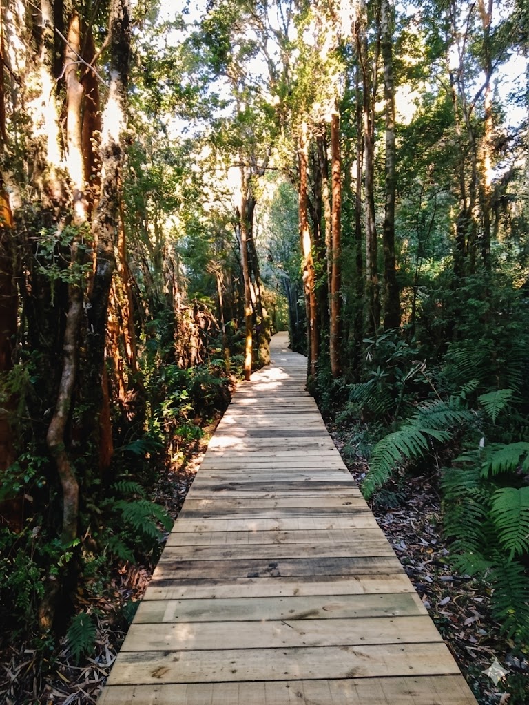 Sendero del Bosque